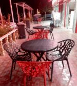 صندلی پلاستیکی شاخ وبرگی - Image 5
